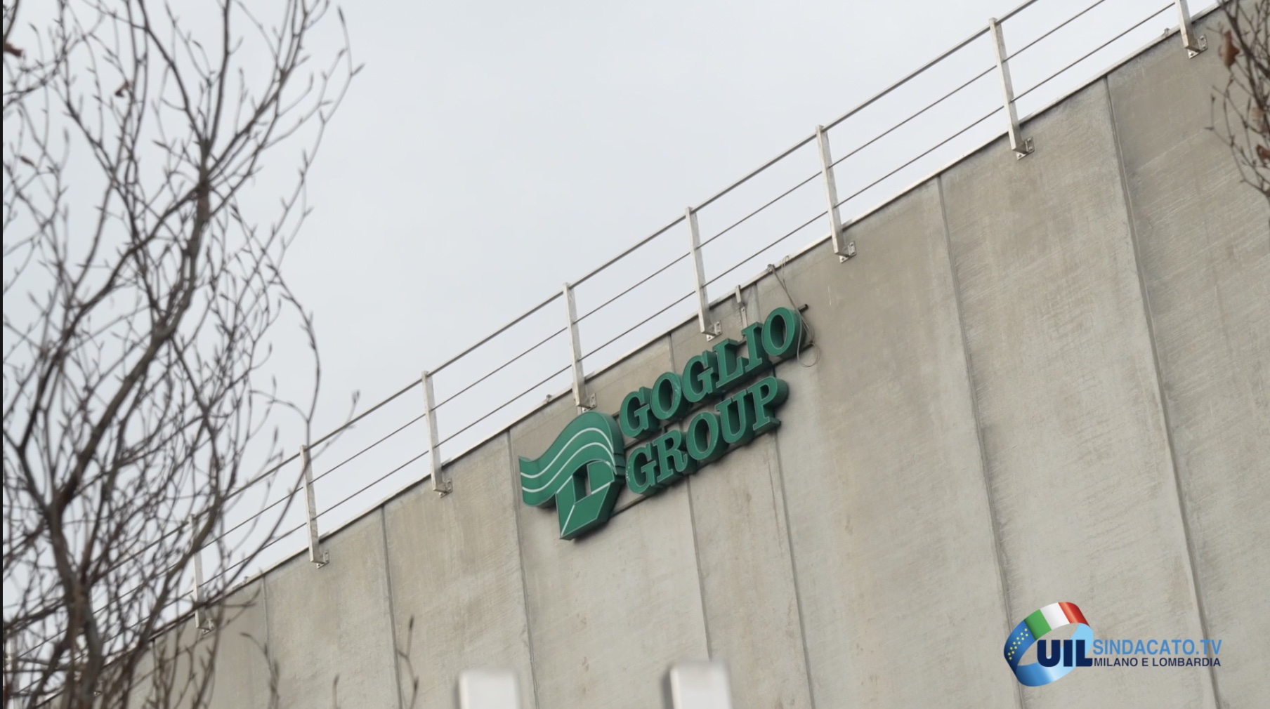 Alla Goglio superminimi protetti